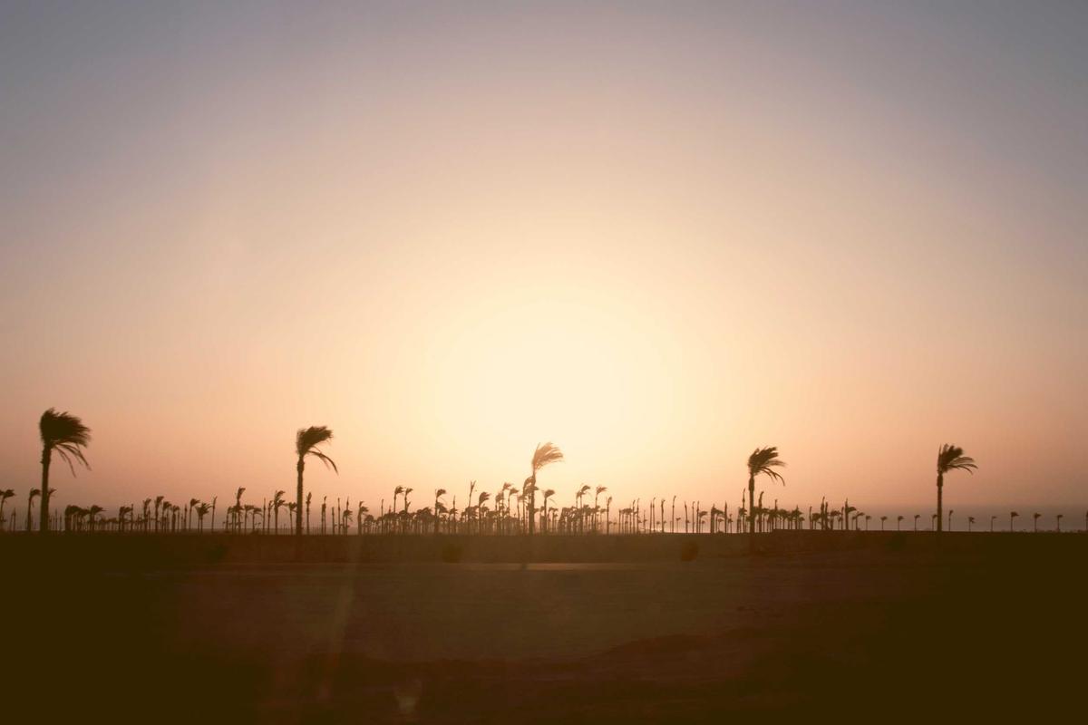 Update Harga HP Gaming Second April 2026: Pantauan ITC Kuningan & Roxy Mas