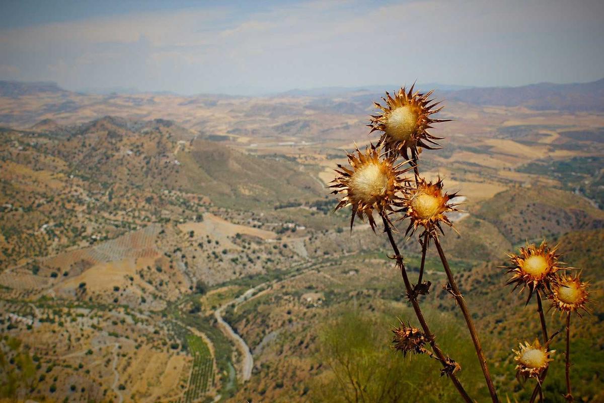 Update Harga HP Gaming Second April 2026: Pantauan ITC Kuningan & Roxy Mas