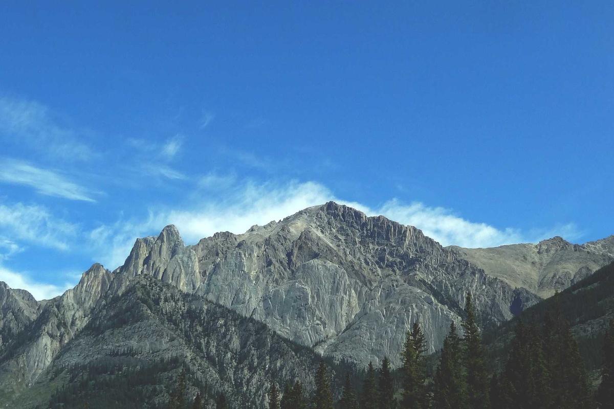 Update Harga HP Gaming Second April 2026: Pantauan ITC Kuningan & Roxy Mas