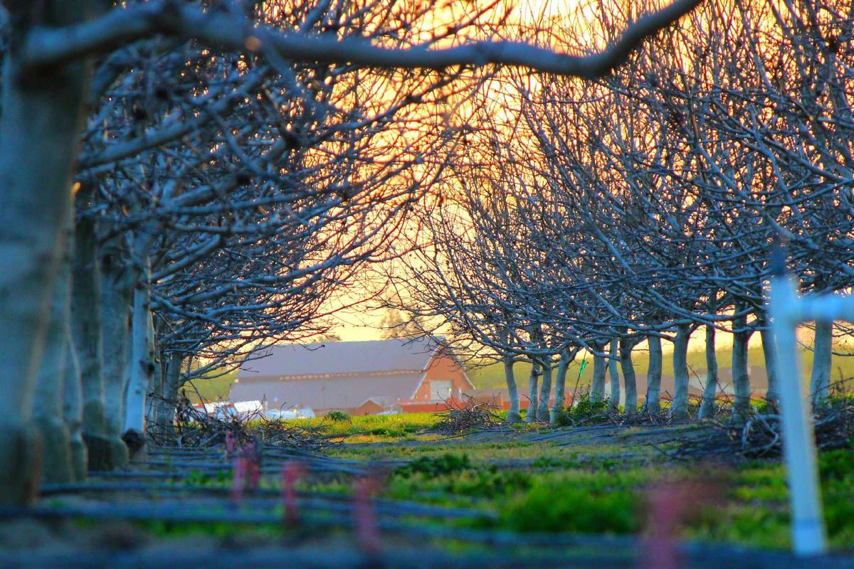 Update Harga HP Gaming Second April 2026: Pantauan ITC Kuningan & Roxy Mas