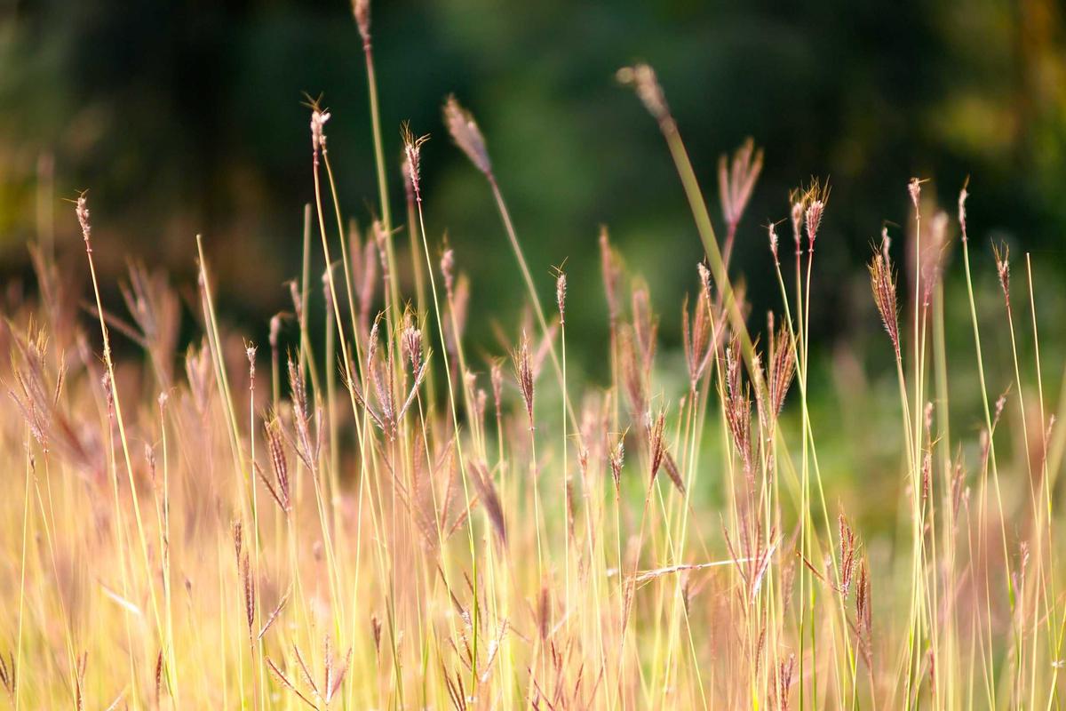 Update Harga HP Gaming Second April 2026: Pantauan ITC Kuningan & Roxy Mas