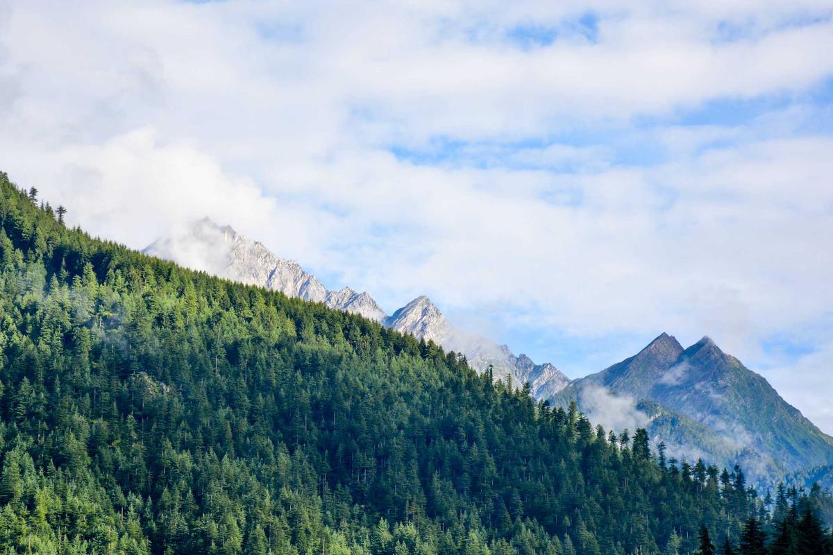 Update Harga HP Gaming Second April 2026: Pantauan ITC Kuningan & Roxy Mas